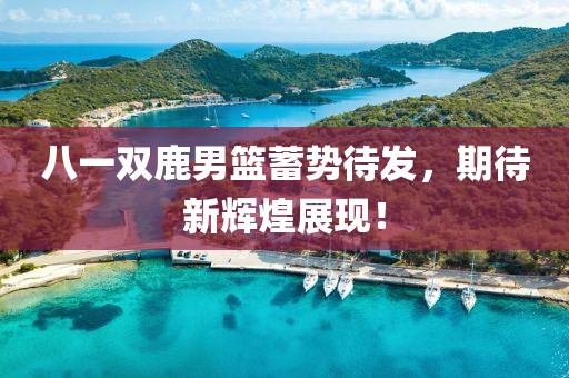 八一双鹿男篮蓄势待发，期待新辉煌展现！