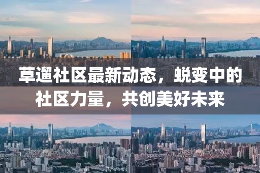 草遛社区最新动态，蜕变中的社区力量，共创美好未来