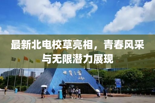 最新北电校草亮相，青春风采与无限潜力展现