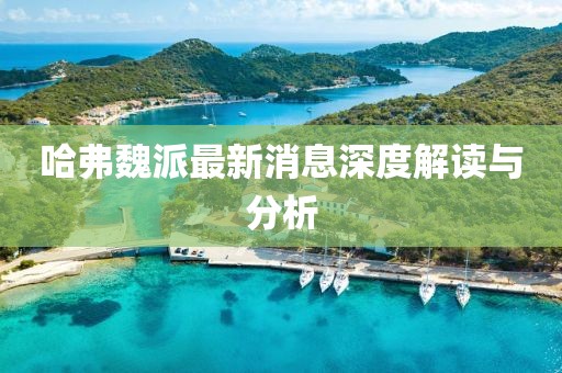 哈弗魏派最新消息深度解读与分析