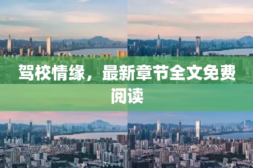 驾校情缘，最新章节全文免费阅读
