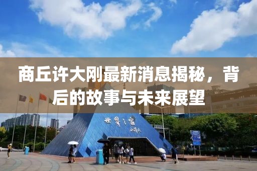 商丘许大刚最新消息揭秘，背后的故事与未来展望