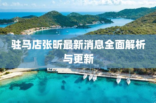 驻马店张昕最新消息全面解析与更新