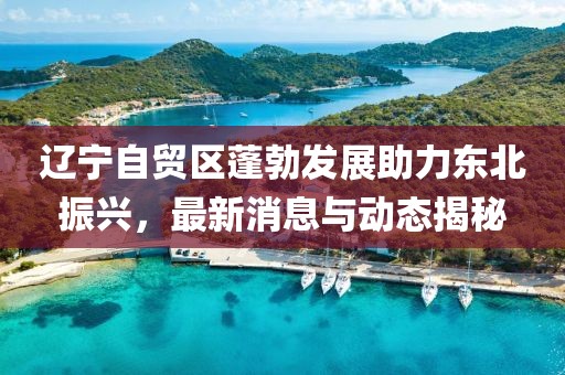 辽宁自贸区蓬勃发展助力东北振兴，最新消息与动态揭秘