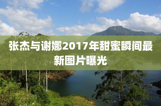 张杰与谢娜2017年甜蜜瞬间最新图片曝光