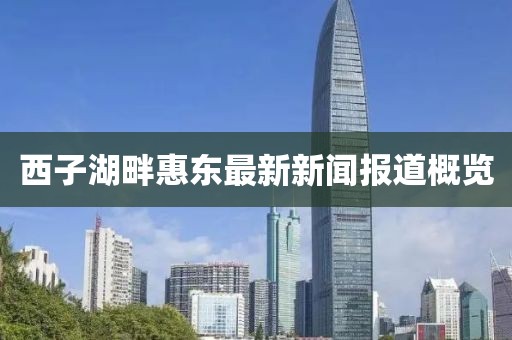 西子湖畔惠东最新新闻报道概览