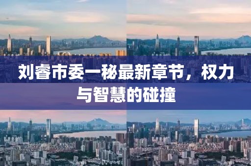 刘睿市委一秘最新章节，权力与智慧的碰撞