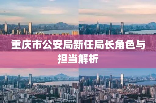 重庆市公安局新任局长角色与担当解析