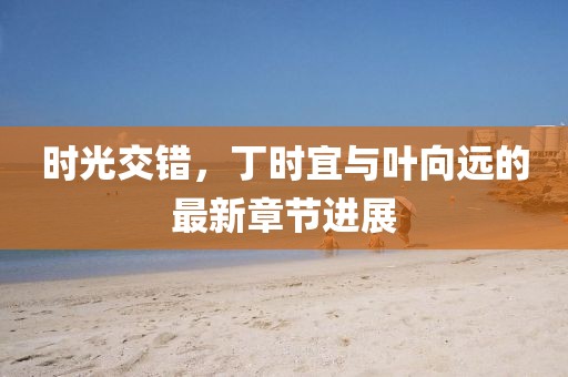 时光交错，丁时宜与叶向远的最新章节进展