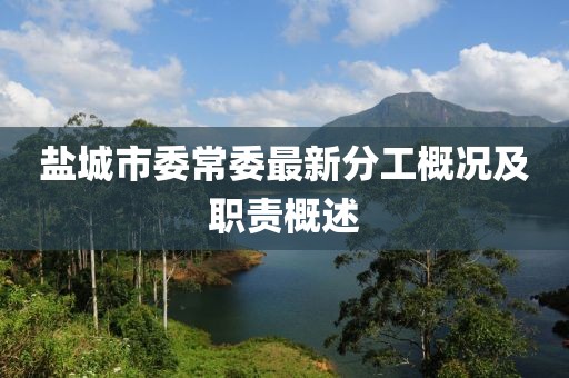 盐城市委常委最新分工概况及职责概述