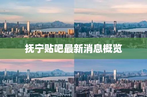 抚宁贴吧最新消息概览