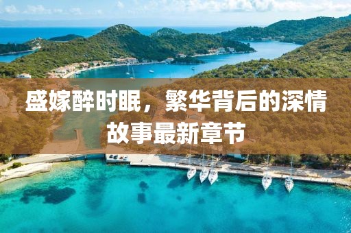 盛嫁醉时眠，繁华背后的深情故事最新章节