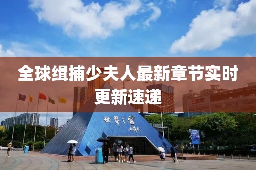 全球缉捕少夫人最新章节实时更新速递