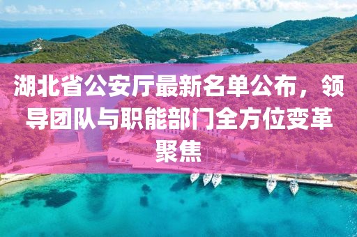湖北省公安厅最新名单公布，领导团队与职能部门全方位变革聚焦