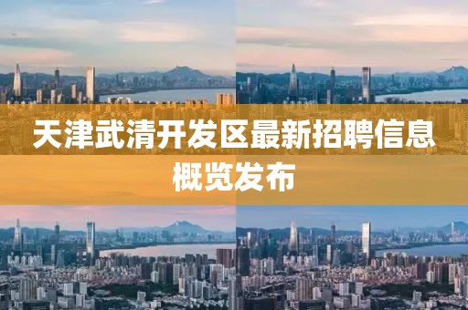 天津武清开发区最新招聘信息概览发布
