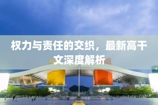 权力与责任的交织，最新高干文深度解析