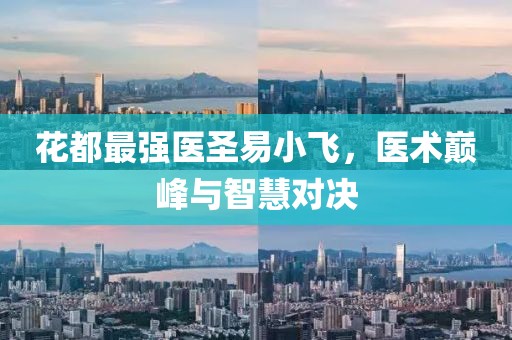 花都最强医圣易小飞，医术巅峰与智慧对决