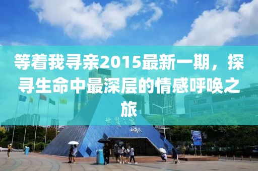 等着我寻亲2015最新一期，探寻生命中最深层的情感呼唤之旅
