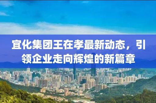 宜化集团王在孝最新动态，引领企业走向辉煌的新篇章