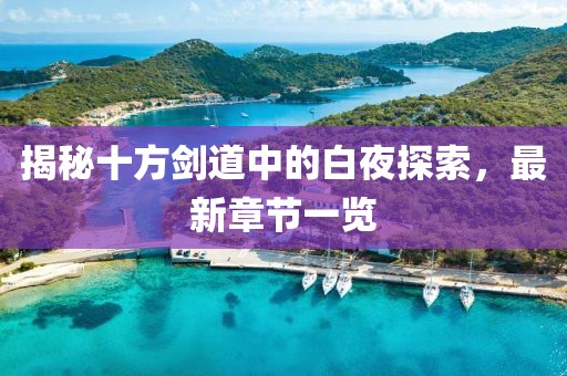 揭秘十方剑道中的白夜探索，最新章节一览