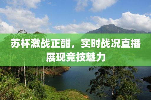 苏杯激战正酣，实时战况直播展现竞技魅力