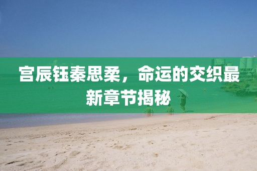 宫辰钰秦思柔，命运的交织最新章节揭秘