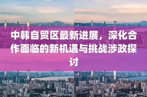中韩自贸区最新进展，深化合作面临的新机遇与挑战涉政探讨