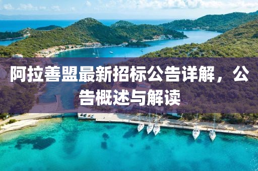 阿拉善盟最新招标公告详解，公告概述与解读