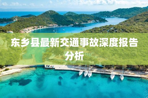 东乡县最新交通事故深度报告分析