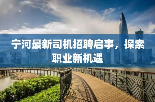 以云为纸 第32页
