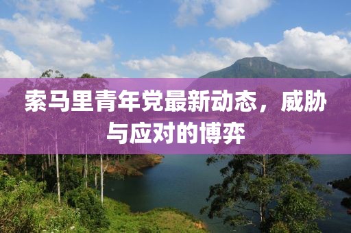 索马里青年党最新动态，威胁与应对的博弈