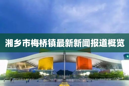 湘乡市梅桥镇最新新闻报道概览