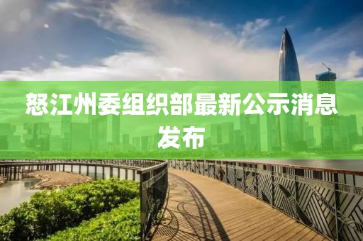 怒江州委组织部最新公示消息发布