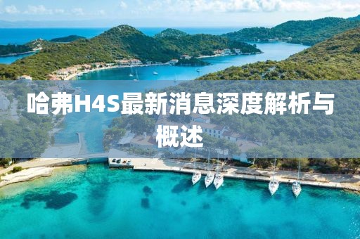 哈弗H4S最新消息深度解析与概述