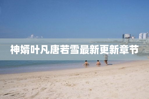 神婿叶凡唐若雪最新更新章节
