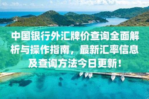 中国银行外汇牌价查询全面解析与操作指南，最新汇率信息及查询方法今日更新！