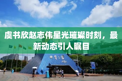 虞书欣赵志伟星光璀璨时刻，最新动态引人瞩目