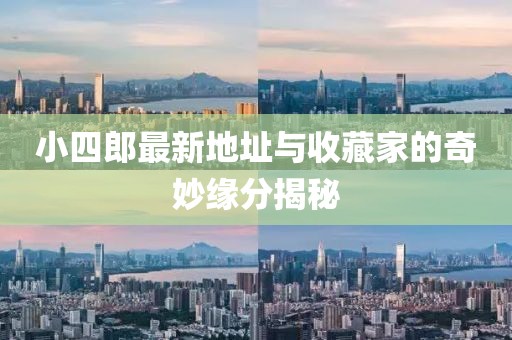 小四郎最新地址与收藏家的奇妙缘分揭秘