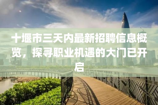 十堰市三天内最新招聘信息概览，探寻职业机遇的大门已开启