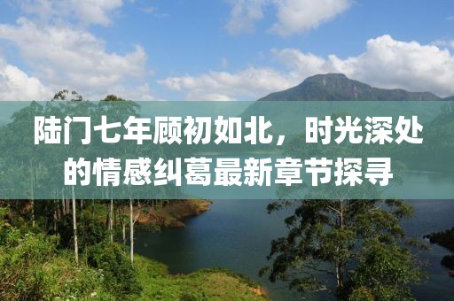 陆门七年顾初如北，时光深处的情感纠葛最新章节探寻