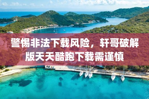 尽是敷衍 第17页
