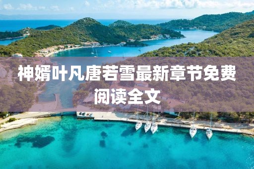 神婿叶凡唐若雪最新章节免费阅读全文