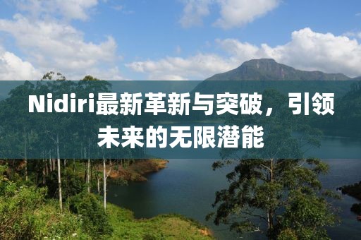 Nidiri最新革新与突破，引领未来的无限潜能