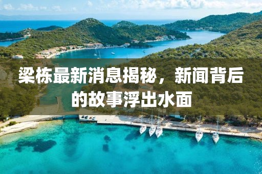 梁栋最新消息揭秘，新闻背后的故事浮出水面