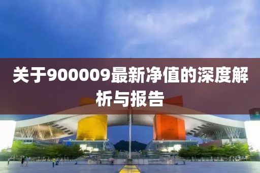 关于900009最新净值的深度解析与报告