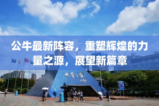 公牛最新阵容，重塑辉煌的力量之源，展望新篇章
