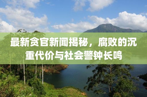 最新贪官新闻揭秘，腐败的沉重代价与社会警钟长鸣