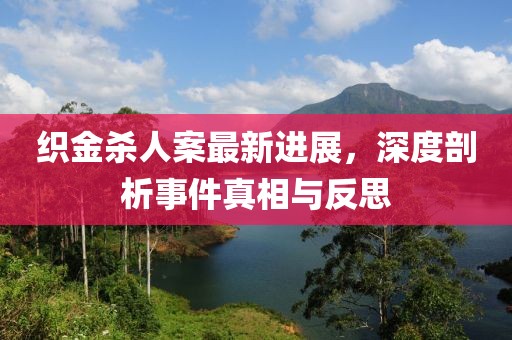 织金杀人案最新进展，深度剖析事件真相与反思