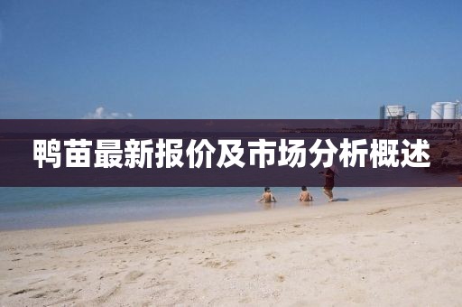 鸭苗最新报价及市场分析概述