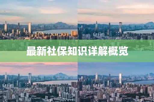 最新社保知识详解概览